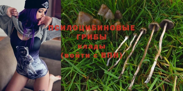 дмт Гусев