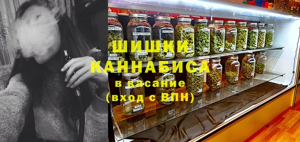прущие грибы Гусиноозёрск