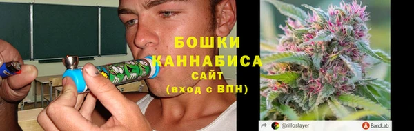 мяу мяу мука Гусь-Хрустальный