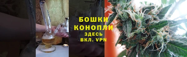 прущие грибы Гусиноозёрск