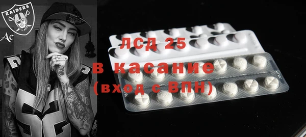 дмт Гусев