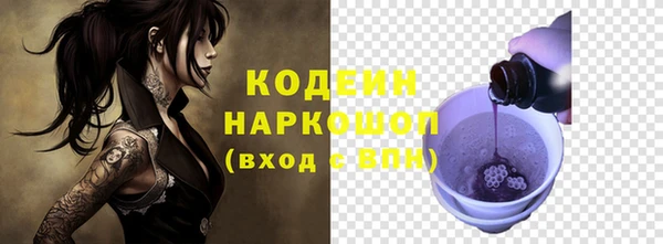 дмт Гусев