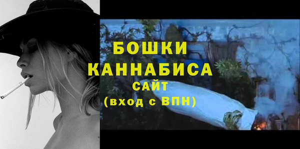 прущие грибы Гусиноозёрск