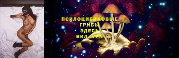 мяу мяу мука Гусь-Хрустальный