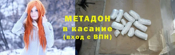 прущие грибы Гусиноозёрск