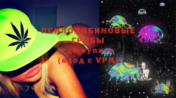 дмт Гусев