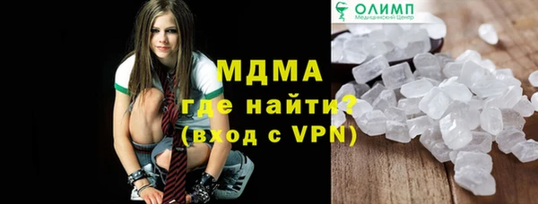 прущие грибы Гусиноозёрск