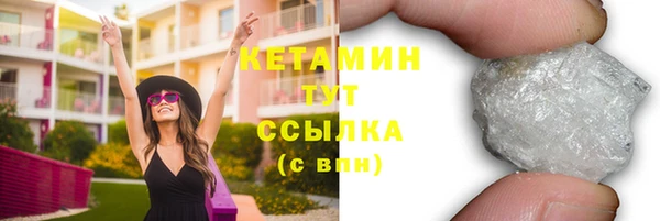 прущие грибы Гусиноозёрск
