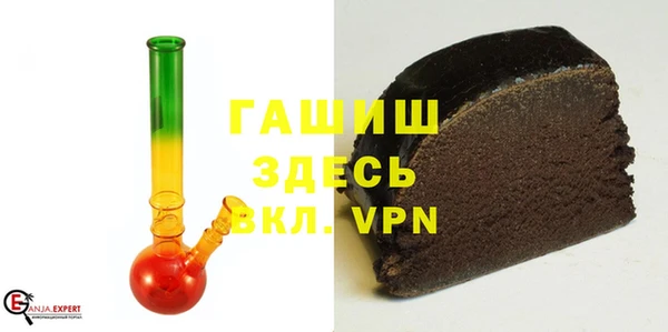 прущие грибы Гусиноозёрск