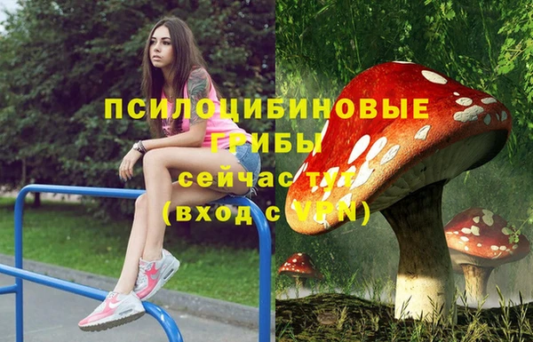 мяу мяу мука Гусь-Хрустальный