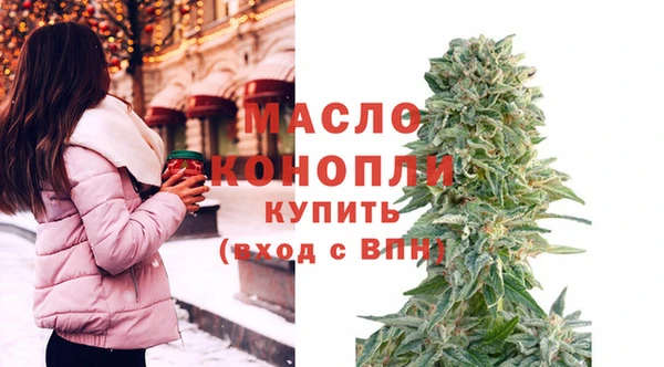 прущие грибы Гусиноозёрск
