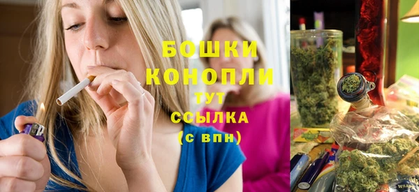 мяу мяу мука Гусь-Хрустальный