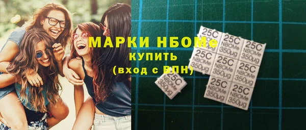 прущие грибы Гусиноозёрск