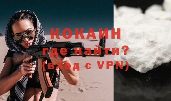 дмт Гусев