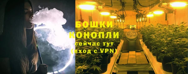 дмт Гусев