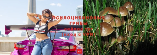 мяу мяу мука Гусь-Хрустальный
