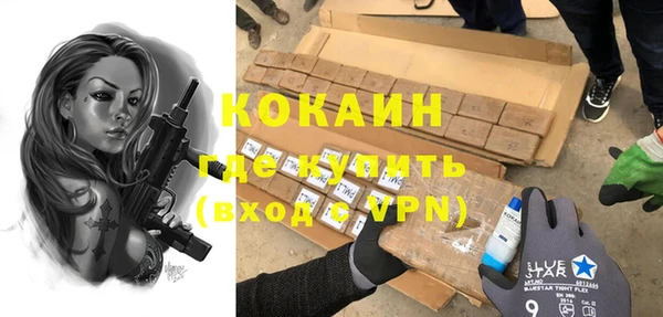 прущие грибы Гусиноозёрск