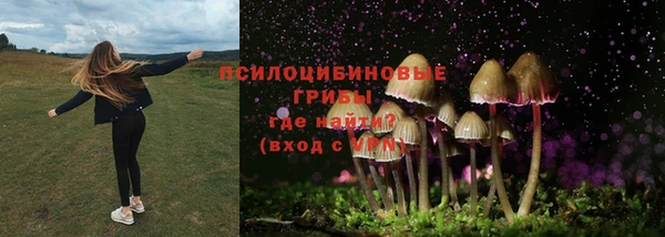 дмт Гусев