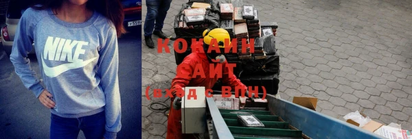 прущие грибы Гусиноозёрск