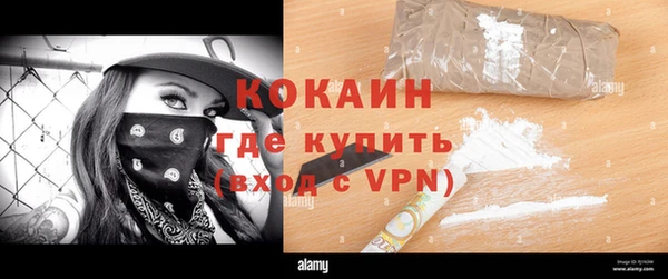 прущие грибы Гусиноозёрск