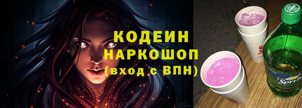 дмт Гусев