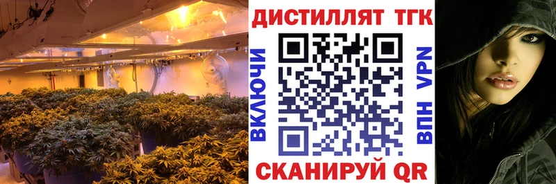 Купить где  Долинск  ТГК THC oil 