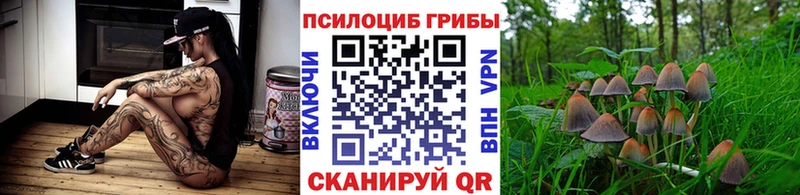 Галлюциногенные грибы ЛСД  Купить  Долинск 