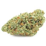 Шишки OG Kush  (Гидропоника, бошки) VHQ в Долинске